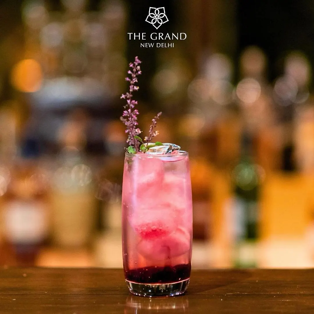 The Grand New Delhi Hotel